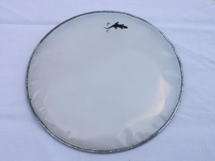 Salamander White 22cm